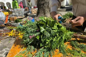 Butarice ali begance so izdelane iz zelenja, ki raste v na&scaron;ih krajih, simbolizirajo pa palmove veje, s katerimi so pozdravili Kristusov prihod v Jeruzalem / Foto: Marjana Ahačič