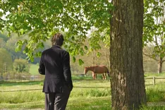 Fotografije je simbolična. / Foto: Pixabay