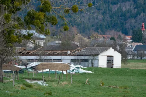 &Scaron;kode za več kot pol milijona