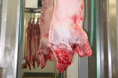 Regijske prehranske verige naj bi povezale pridelovalce, predelovalce, distributerje in javne zavode. / Foto: Cveto Zaplotnik