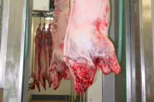 Regijske prehranske verige naj bi povezale pridelovalce, predelovalce, distributerje in javne zavode. / Foto: Cveto Zaplotnik