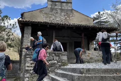 Lepote Glin&scaron;čice / Foto:  