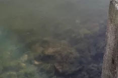 Onesnaženje Save pod HE Medvode. / Foto: Arhiv Aag