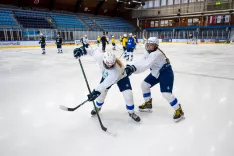 Hokej priprave slovenske reprezentance na IIHF mednarodni turnir na Bledu, trening 8.4.2026 / Foto: Nik Bertoncelj