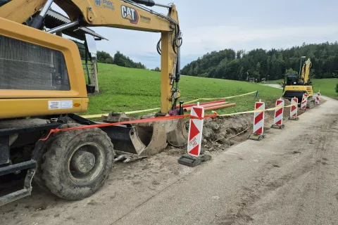 Lani pol manj odhodkov