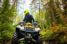 Primer nezakonite vožnje s &scaron;tirikolesnikom po gozdovih / Foto: Arhiv Zgs