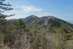 Pogled na Golić s Stražbenice. / Foto: Jelena Justin
