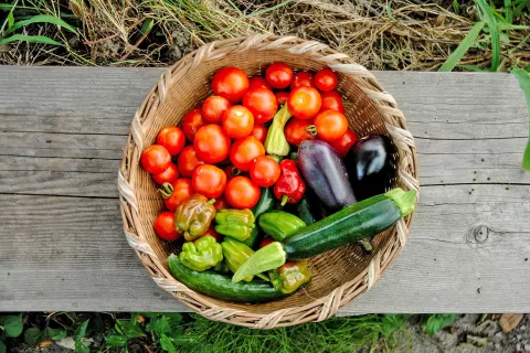 Fotografija je simbolična. / Foto: Pixabay