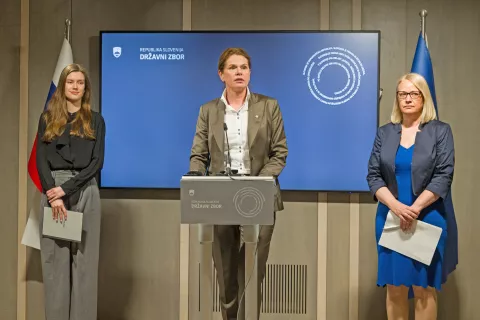 V stranki Svoboda so se odzvali na predlog interventnega zakona za razvoj Slovenije, ki gre po njihovem v &scaron;kodo mladih in srednjega razreda. / Foto: Bor Slana/sta