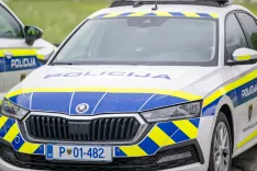 Simbolična fotografija Policija / Foto: Nik Bertoncelj