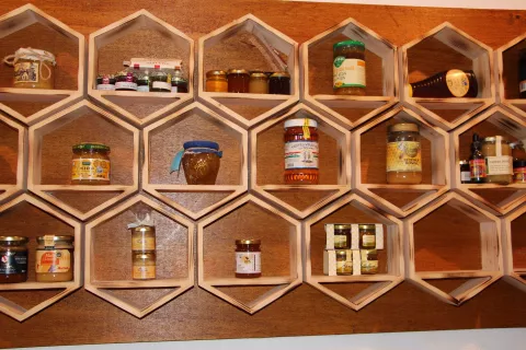 Čebelarji bodo na dnevu odprtih vrat predstavili obiskovalcem tudi postopek pridobivanja medu. / Foto: Cveto Zaplotnik