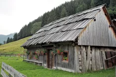 Fotografija je simbolična. / Foto: Pixabay