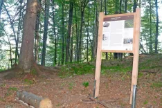 Na mestu na Planskem vrhu na Mežakli, kamor je padel meteorit, so postavili tablo. / Foto: Stane Arh