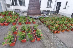 Okenska korita z že zasajenimi cvetlicami bodo občani lahko prevzeli v soboto, 30. maja, od 8. do 11. ure v atriju Občine Tržič. / Foto: Arhiv Ga&scaron;perja Golmajerja