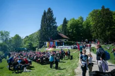 Tuji delavci pogosto brez glasu