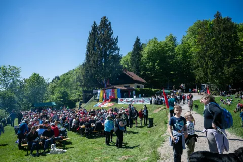 Tuji delavci pogosto brez glasu