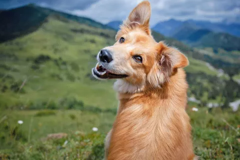    / Foto: Yabaaa.com