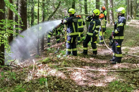 V gozdnih požarih največji izziv oskrba z vodo