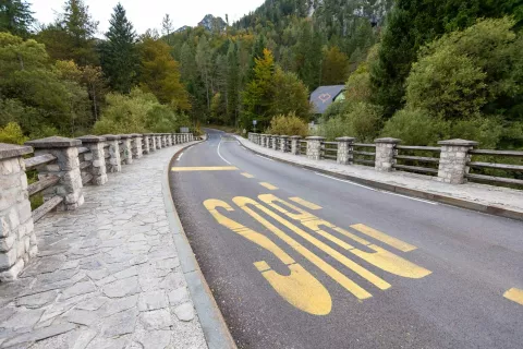 Cestni prelaz Vr&scaron;ičavtobusna postaja trajnostna mobilnost avtobusStanje ceste po preplastitvi in pred testnim obdobjem novega prometnega režima z zapornicami / Foto: Nik Bertoncelj