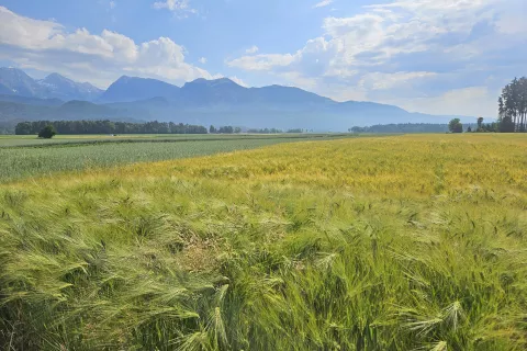    / Foto:   