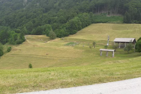 V leto&scaron;nji subvencijski kampanji čez 44 tisoč kmetij uveljavlja plačila za območja z naravnimi in drugimi omejitvami. / Foto: Cveto Zaplotnik