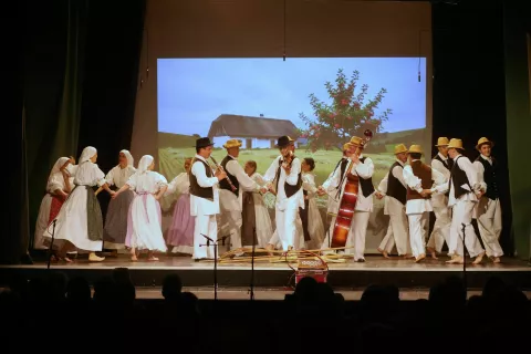 Radost, veselje, ples&nbsp;... Tako se je začel leto&scaron;nji že 74 letni koncert AFS Ozara Kranj. / Foto: alenka brun