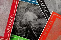Revija Sejalec / Foto: OI JSKD &Scaron;kofja Loka