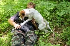 letni tabor enota re&scaron;evalnih psov pes žival KD Naklo / Foto: Tina Dokl