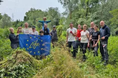 Tradicionalna akcija Očistimo Gorenjsko invazivk / Foto: Razvojna agencija Sora