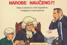   / Foto:  