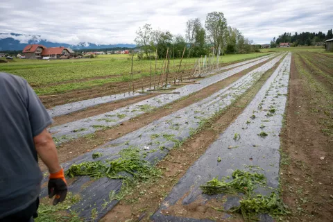 Posledice nočnega neurja v Komendi / Foto: Primož Pičulin
