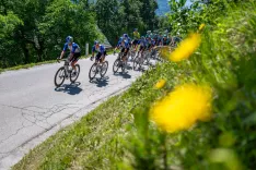 Dirka po Sloveniji 4. etapa: Kranj-Kranjska Gora, odsek tekme na Jamniku / Foto: Primož Pičulin
