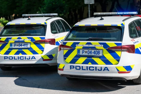Simbolična fotografija Policija / Foto: Nik Bertoncelj