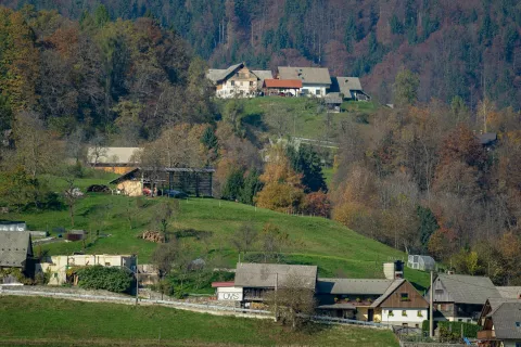Simbolična fotografija občina Gorje / Foto: Nik Bertoncelj