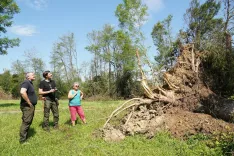ogled sanacije po vetrolomu v Komendi / Foto: Zavod za gozdove Slovenije