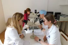 Z Mohsovo mikrokirurgijo se odstranjeno tkivo na poseben način pregleda že v laboratoriju že med posegom. / Foto: UKC Ljubljana