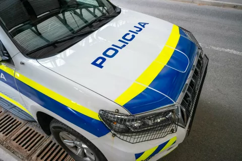 Simbolična fotografija Policija / Foto: Nik Bertoncelj