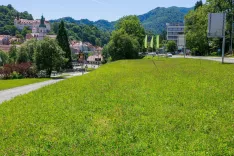 Pomemben del zelenih povr&scaron;in v mestu so travniki. Olep&scaron;ajo mesta, služijo rekreaciji in počitku prebivalcev ter imajo pomembno okoljsko vlogo. / Foto: Luka Rifelj