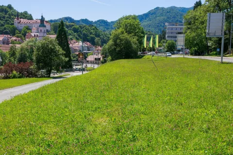 Pomemben del zelenih povr&scaron;in v mestu so travniki. Olep&scaron;ajo mesta, služijo rekreaciji in počitku prebivalcev ter imajo pomembno okoljsko vlogo. / Foto: Luka Rifelj
