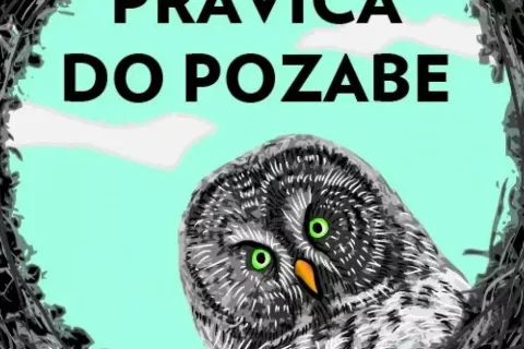 Pravica do pozabe / Foto: arhiv Trži&scaron;ki muzej