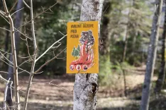 gozd požar varnost pred požari opozorilni znak / Foto: Tina Dokl