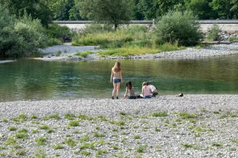 Reka Sava pri Savskem otoku v Kranju / Foto: Primož Pičulin