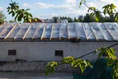 Posledice silovitega vetra ob neurju v Komendi. Komenda, 14. 6. 2026 &scaron;koda, občina komenda, veter, sanacija, vetrolom, po&scaron;kodbe infrastrukture, neurje, vreme / Foto: Matic Zorman