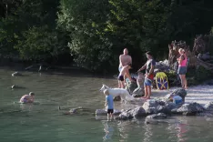 Spet zaznali povečanje plavajoče go&scaron;če