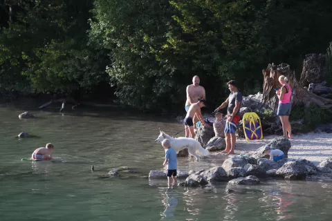 Spet zaznali povečanje plavajoče go&scaron;če