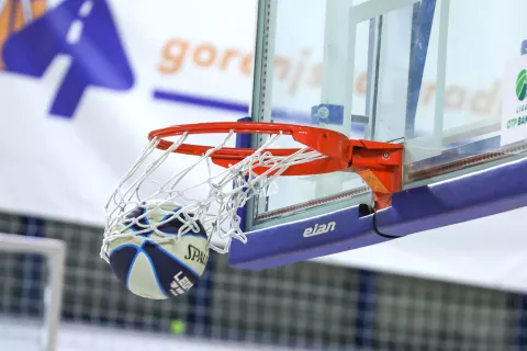 ko&scaron;arka Simbolična fotografija ko&scaron; žoga / Foto: Tina Dokl