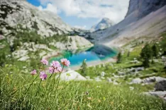 Zavarovano območje je sprva obsegalo le Dolino Triglavskih jezer, danes pa obsega skoraj celotne Julijske Alpe. / Foto: Ale&scaron; Zde&scaron;ar, arhiv javnega zavoda TNP / Foto: 