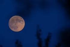 vzhod lune luna polna luna / Foto: Matic Zorman