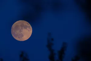 vzhod lune luna polna luna / Foto: Matic Zorman