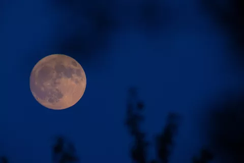vzhod lune luna polna luna / Foto: Matic Zorman